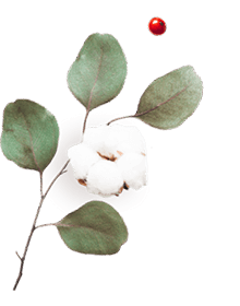 https://ximena-xv.click/wp-content/uploads/2020/10/floating_image_06.png