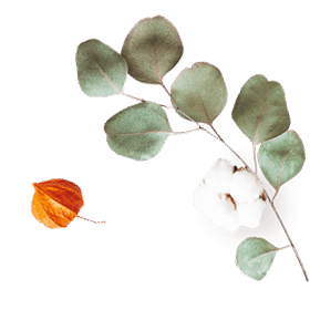 https://ximena-xv.click/wp-content/uploads/2020/10/floating_image_07.png