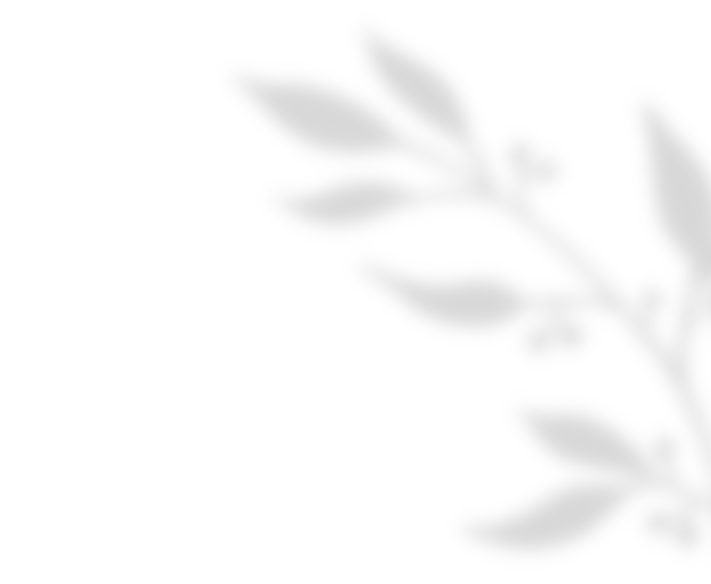 https://ximena-xv.click/wp-content/uploads/2020/11/shadow_leaves_01.png